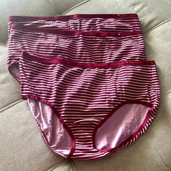 Cacique Intimates & Sleepwear Cacique Lane Bryant 0 Cotton Highleg